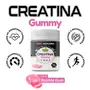 Creatina Gummy Sunflower 60 Gomas Bubble Gum