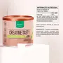 Creatine Tasty Nutrify 210g Sabor Limonada Suíça