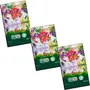 Kit 3 Chocolate Orgânico 70% com Açúcar de Coco Gula Merah Amma 30G