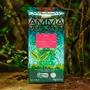 Chocolate Biodinâmico Pajé 75% Cacau Amma 80g