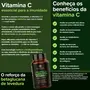 Própolis + Quercetina e Vitamina C Essential Nutrition 30 Cápsulas