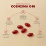 Coq10 + Ômega 3 TG Essential Nutrition 120 Cápsulas + Brinde