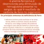 Ferro Quelato Ocean Drop 60 Cápsulas