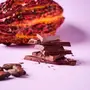 Chocolate Orgânico Biodinânimo 75% Cacau com Açaí Amma 80g