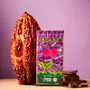 Chocolate Orgânico Biodinânimo 75% Cacau com Açaí Amma 80g