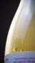 Kit 3 Espumante de Kombucha Pod 750ml Cereja, Limão e Uva Branca Ganhe Brinde