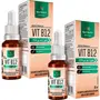 Kit 2 Vitamina B12 Metilcobalamina Líquida Nutrify Sabor Limão e Morango 20ml