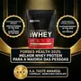 Gold Standard 100% Whey Protein Optimum Nutrition 454g Baunilha