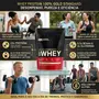 Gold Standard 100% Whey Protein Optimum Nutrition 454g Baunilha