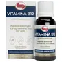 Kit 2 Vitamina B12 em gotas da Vitafor Sabor Menta 20mL