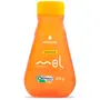 Mel Multifloral Orgânico NobreFlora Breyer Bisnaga 270g