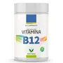 Vitamina B12 Vital Natus 60 Comprimidos