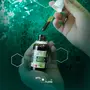 Extrato Aquoso de Própolis Verde Propomax Apis Flora 30ml