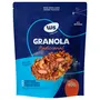 Granola Tradicional WS Naturais 800g