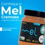 Mel Cremoso Orgânico NobreFlora Breyer 500g