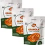 Kit 3 Granola de Coco Ws Naturais 500g