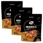 Kit 3 Granola Premium Ws Naturais 500g