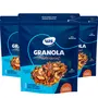 Kit 3 Granola Tradicional WS Naturais 500g