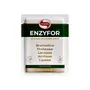 Enzyfor Vitafor 10 Sachês de 3g