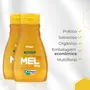 Mel Multifloral Orgânico Breyer Bisnaga 200G