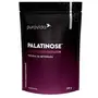 Palatinose Puravida 300g