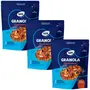 Kit 3 Granola Tradicional WS Naturais 800g