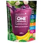 One Nutrition Vegan Protein Puravida Sabor Açaí com Banana 450g