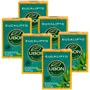 Kit 6 Sabonete Glicerinado Eucalípto Ubon 100g