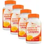 Kit 4 Óleo de Semente de Abóbora com Licopeno Global Suplementos 120 Cápsulas